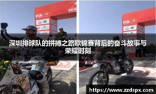 深圳排球队的拼搏之路欧锦赛背后的奋斗故事与荣耀时刻